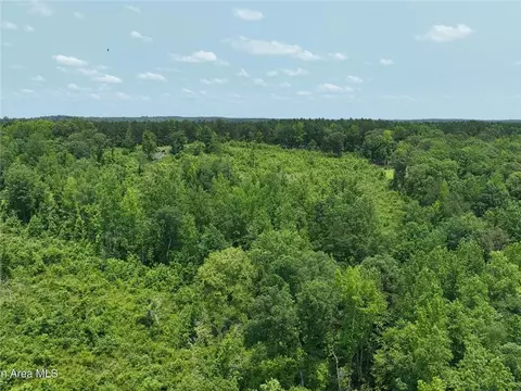 00 Lindsey Rd, Eclectic, AL 36024 photo 29
