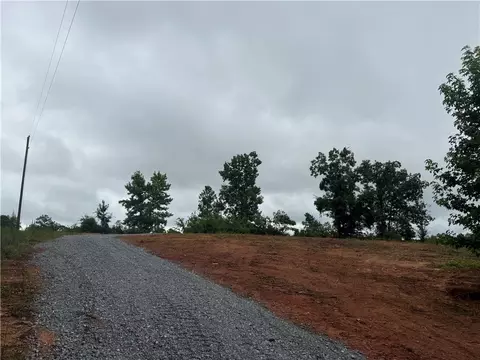00 Lindsey Rd, Eclectic, AL 36024 photo 6