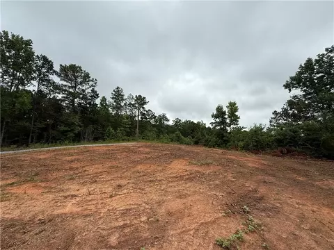 00 Lindsey Rd, Eclectic, AL 36024 photo 8