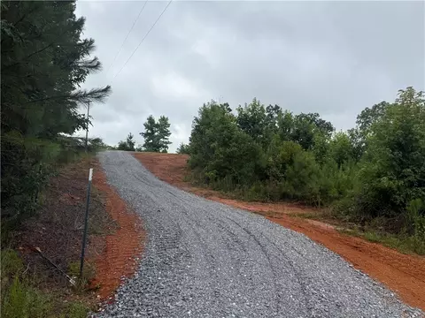 00 Lindsey Rd, Eclectic, AL 36024 photo 5