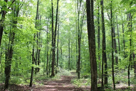 0 E Mill Rd, Goodwater, AL 35072