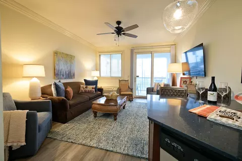 430 W Glenn Dr #313, Auburn, AL 36830