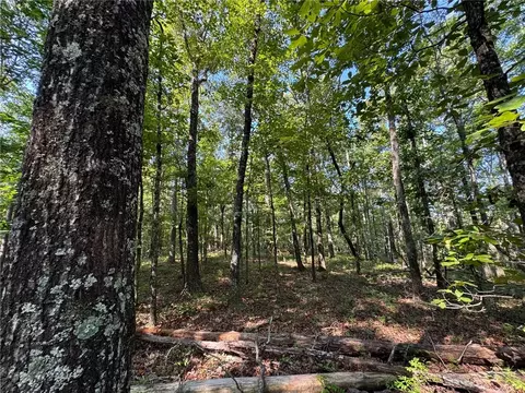 0 Parker Island Rd, Equality, AL 36026 photo 7