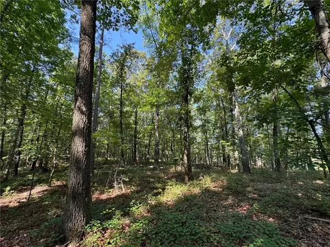 0 Parker Island Rd, Equality, AL 36026 photo 8