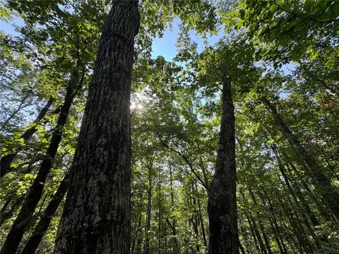 0 Parker Island Rd, Equality, AL 36026 photo 5