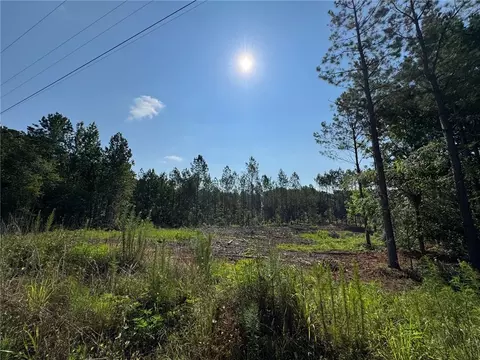 0 Parker Island Rd, Equality, AL 36026 photo 11