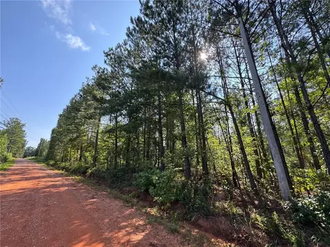 0 Parker Island Rd, Equality, AL 36026 photo 4