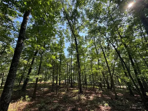 0 Parker Island Rd, Equality, AL 36026 photo 6