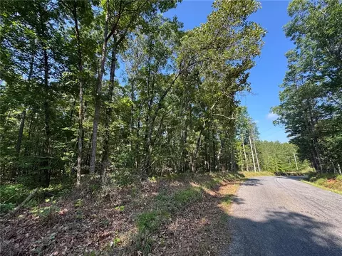 0 Parker Island Rd, Equality, AL 36026 photo 9