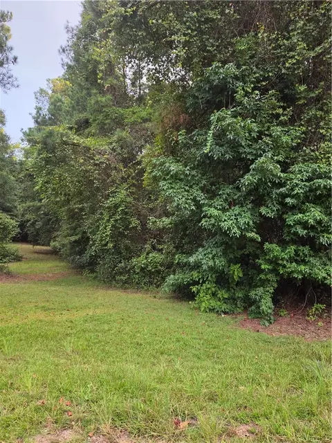 0 Lee Road 27, Opelika, AL 36804