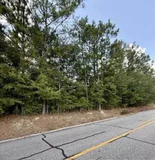 0 Lee Road 29, Opelika, AL 36804