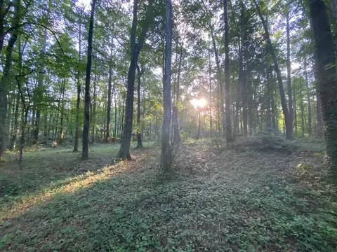 1310 Hickory Ln, Auburn, AL 36830