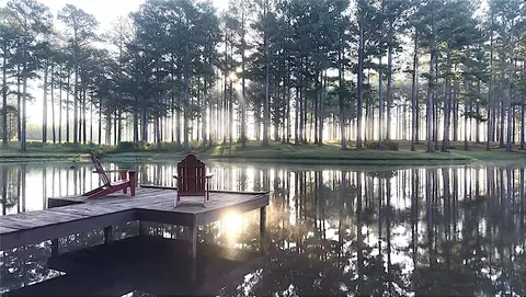 1362 N Friendship Dr, Greenville, AL 36037