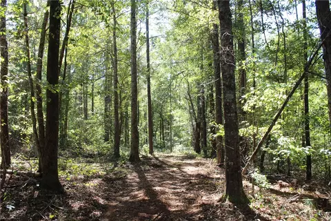 0 E Mill Rd, Goodwater, AL 35072