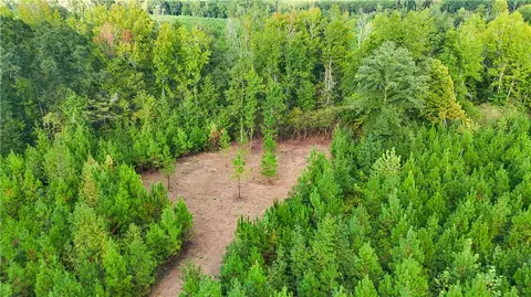 0 County Road 28, La Fayette, AL 36862