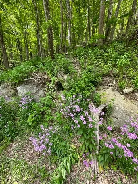tbd Highlands Pkwy, Mouth Of Wilson, VA 24348