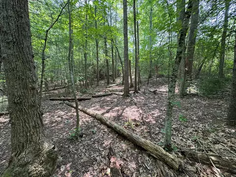 0 Old Mill Rd, Patrick Springs, VA 24133 photo 8