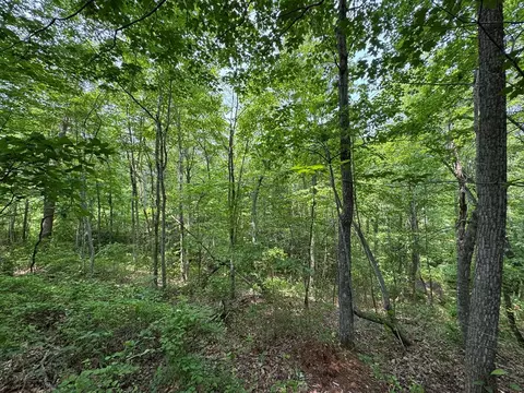 0 Old Mill Rd, Patrick Springs, VA 24133 photo 14