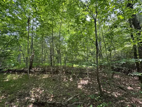 0 Old Mill Rd, Patrick Springs, VA 24133 photo 6