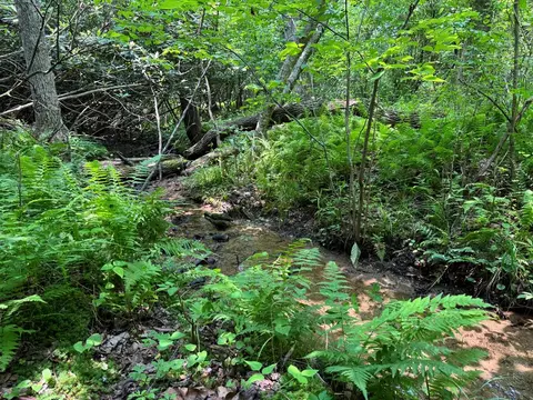 0 Old Mill Rd, Patrick Springs, VA 24133 photo 11