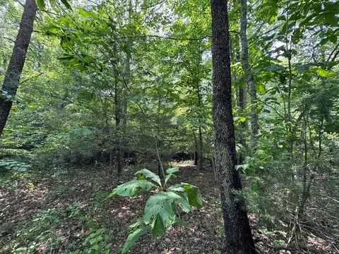 0 Old Mill Rd, Patrick Springs, VA 24133 photo 5