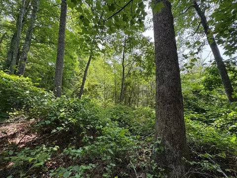 0 Old Mill Rd, Patrick Springs, VA 24133 photo 9