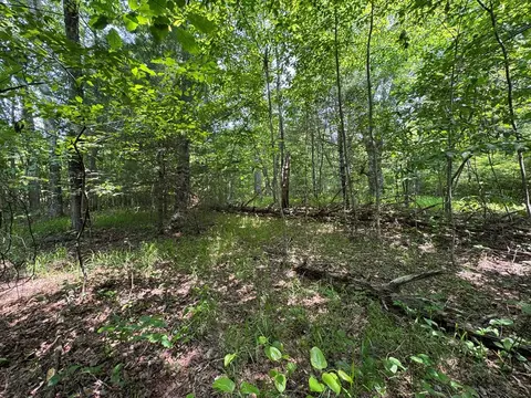 0 Old Mill Rd, Patrick Springs, VA 24133 photo 4