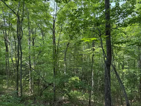 0 Old Mill Rd, Patrick Springs, VA 24133 photo 13