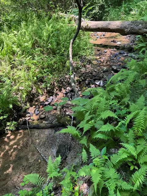 0 Old Mill Rd, Patrick Springs, VA 24133 photo 15