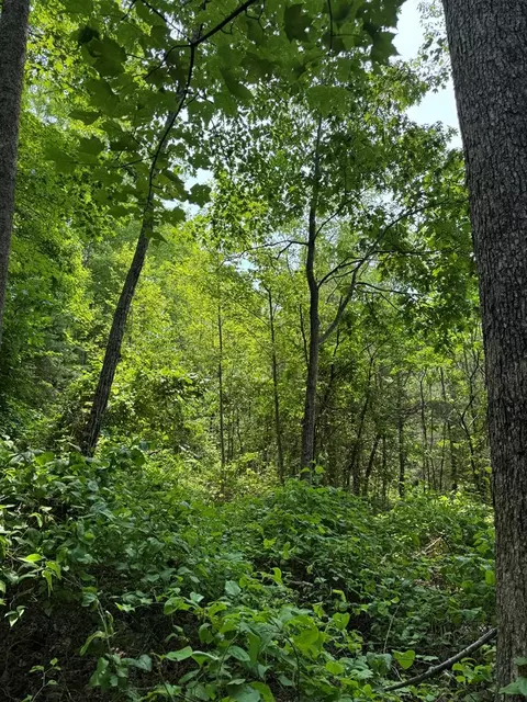 0 Old Mill Rd, Patrick Springs, VA 24133 photo 10