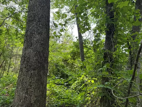 0 Old Mill Rd, Patrick Springs, VA 24133 photo 12