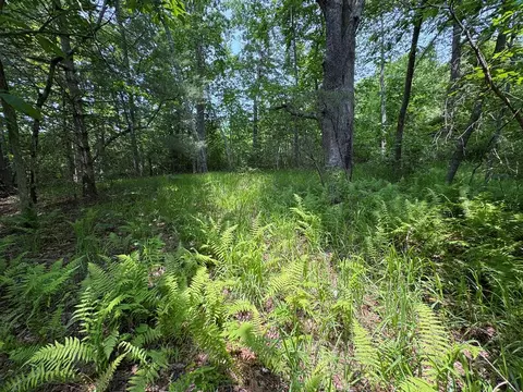 0 Old Mill Rd, Patrick Springs, VA 24133 photo 16