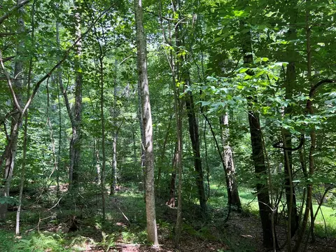 tbd Cascade Mtn, Fancy Gap, VA 24317 photo 3