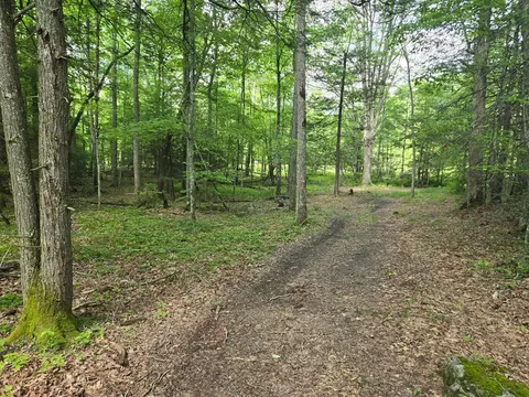 tbd Poor Valley Rd, Ceres, VA 24315 photo 1