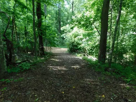 tbd Scotch Pine Dr, Copper Hill, VA 24079 photo 9
