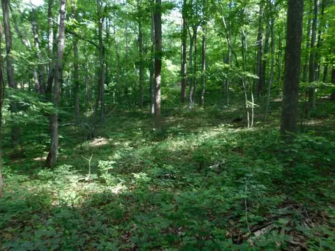 tbd Scotch Pine Dr, Copper Hill, VA 24079 photo 6