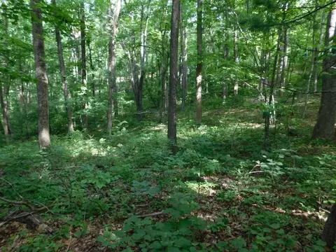 tbd Scotch Pine Dr, Copper Hill, VA 24079 photo 5