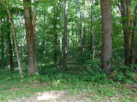 tbd Scotch Pine Dr, Copper Hill, VA 24079 photo 3