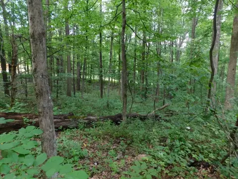 tbd Scotch Pine Dr, Copper Hill, VA 24079 photo 16