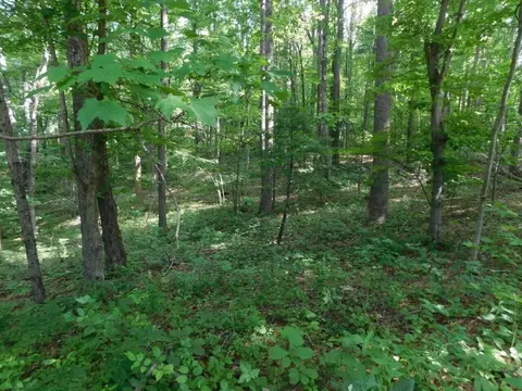 tbd Scotch Pine Dr, Copper Hill, VA 24079 photo 4