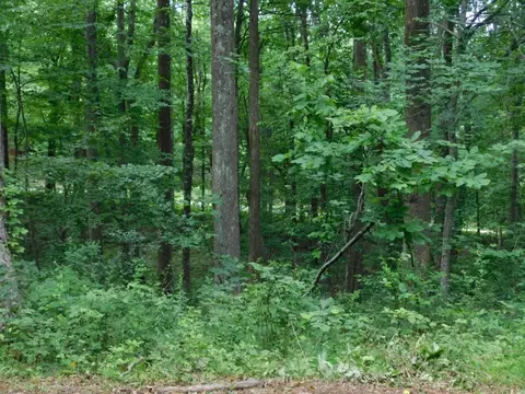 tbd Scotch Pine Dr, Copper Hill, VA 24079 photo 15