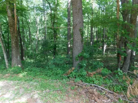 tbd Scotch Pine Dr, Copper Hill, VA 24079 photo 2