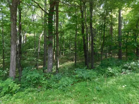 tbd Scotch Pine Dr, Copper Hill, VA 24079 photo 7