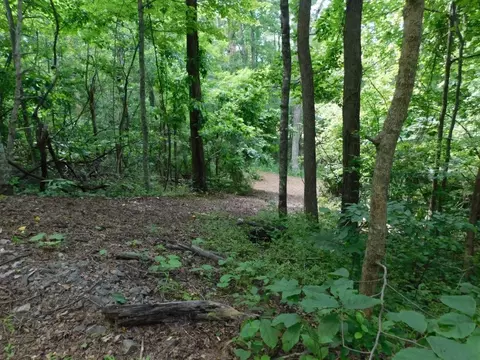 tbd Scotch Pine Dr, Copper Hill, VA 24079 photo 17