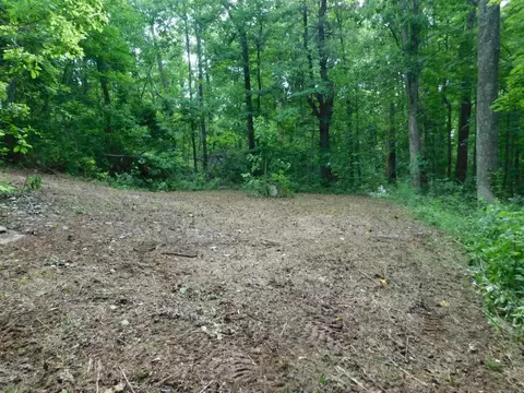 tbd Scotch Pine Dr, Copper Hill, VA 24079 photo 12