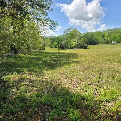 tbd Flatwoods Rd, Elliston, VA 24087 photo 1
