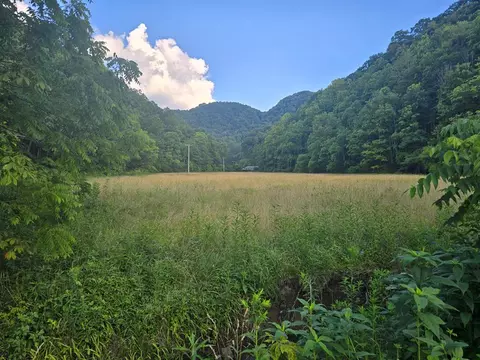 tbd Lickbranch Rd, North Tazewell, VA 24630