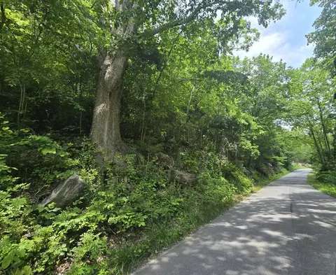 tbd Dry Fork Rd, Cedar Bluff, VA 24609