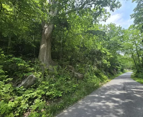 tbd Dry Fork Rd, Cedar Bluff, VA 24609 photo 5