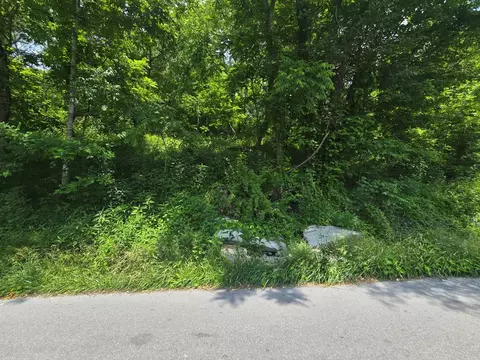 tbd Dry Fork Rd, North Tazewell, VA 24630